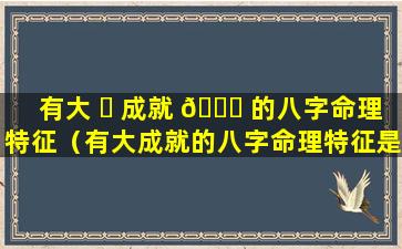 有大 ☘ 成就 💐 的八字命理特征（有大成就的八字命理特征是什么）
